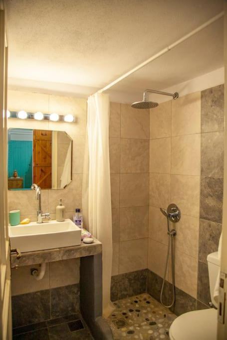 Holiday home The Magnolia Skopelos Town